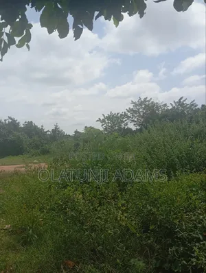 100acres Prime Land for Sale at Alajue Ede