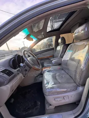 Lexus RX 2009 Silver