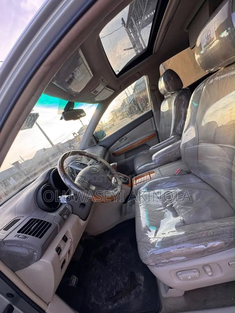 Lexus RX 2009 Silver