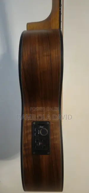 Smiger Electronic Acoustic Guitar
