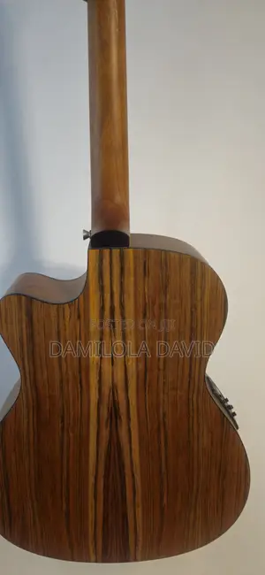 Smiger Electronic Acoustic Guitar