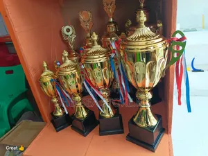 Get All Your Sizes of Trophy Cup