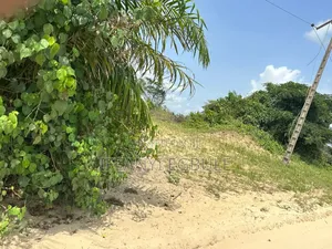 Government Allocation 100 Plots of Land for Sale Dry Land
