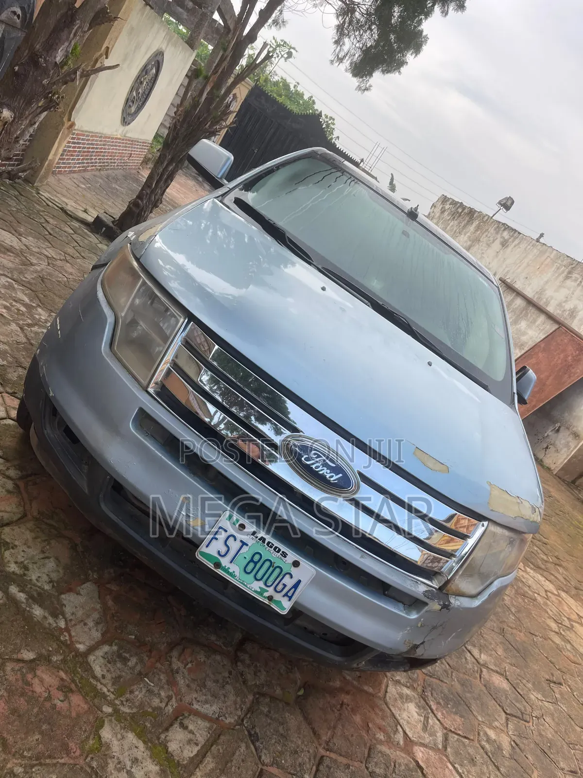 Ford Edge 2008 Blue