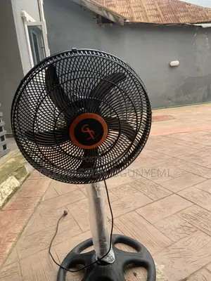 Standing Fan With No Issues Available