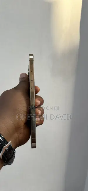Apple iPhone 12 Pro Max 256 GB Gold