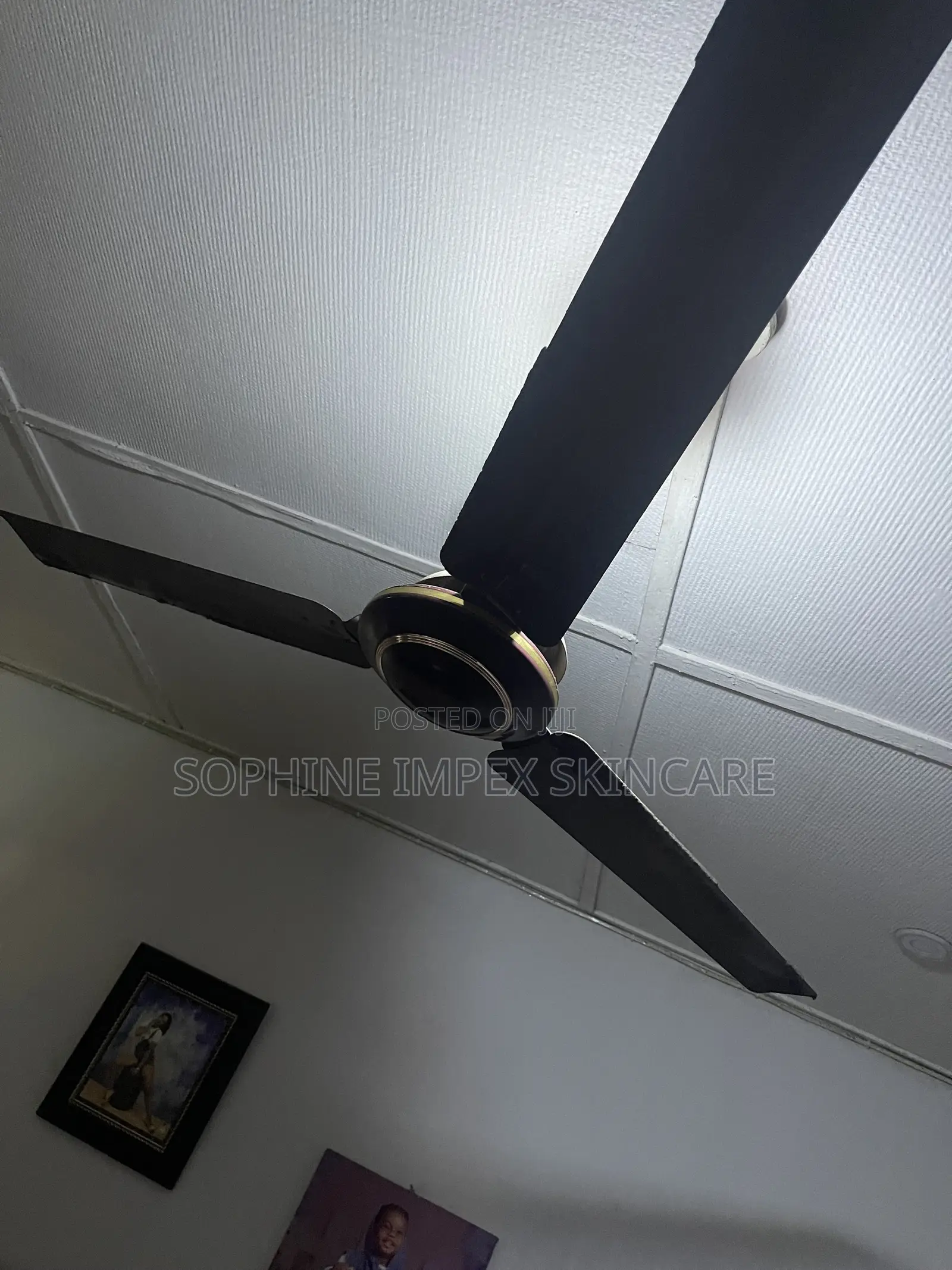 Ceiling Fan