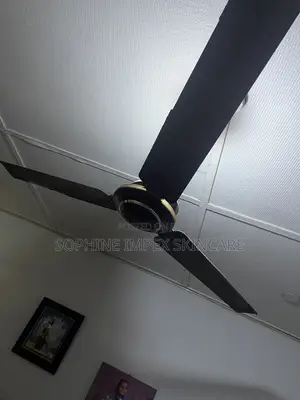 Ceiling Fan