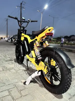 Electric Bicycle