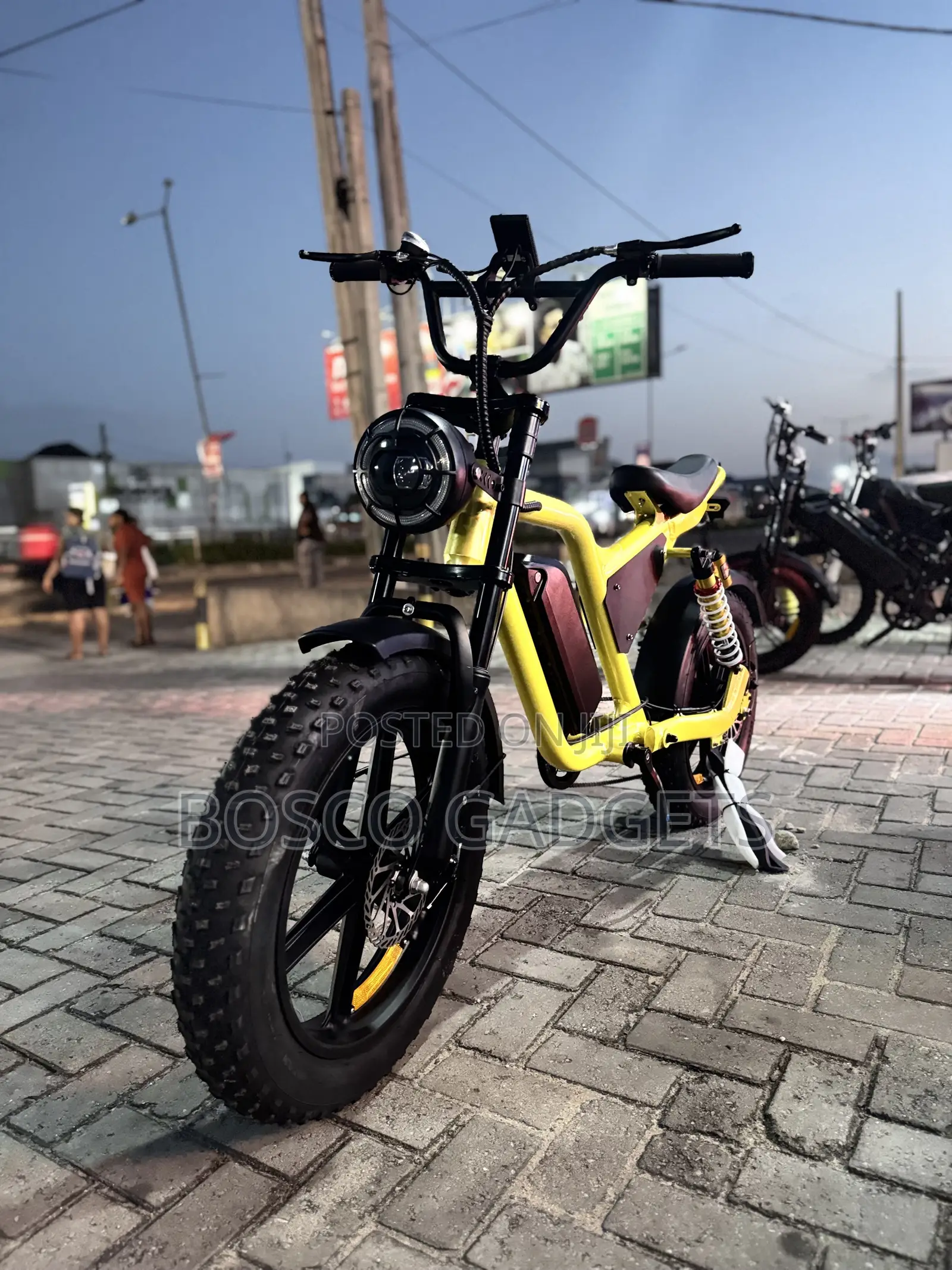 Electric Bicycle