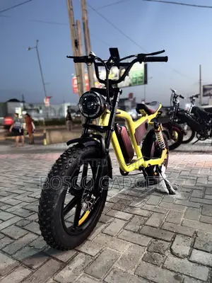 Electric Bicycle