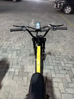 Electric Bicycle