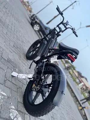USA Modern Electric Bicycle Fat Tyre Sleek Design