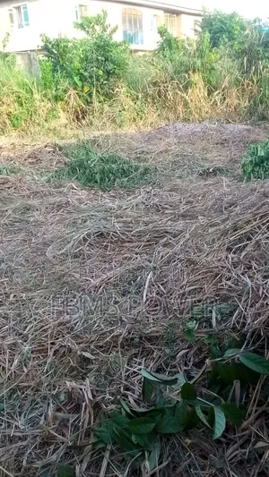 1 Plot of Land for Lease