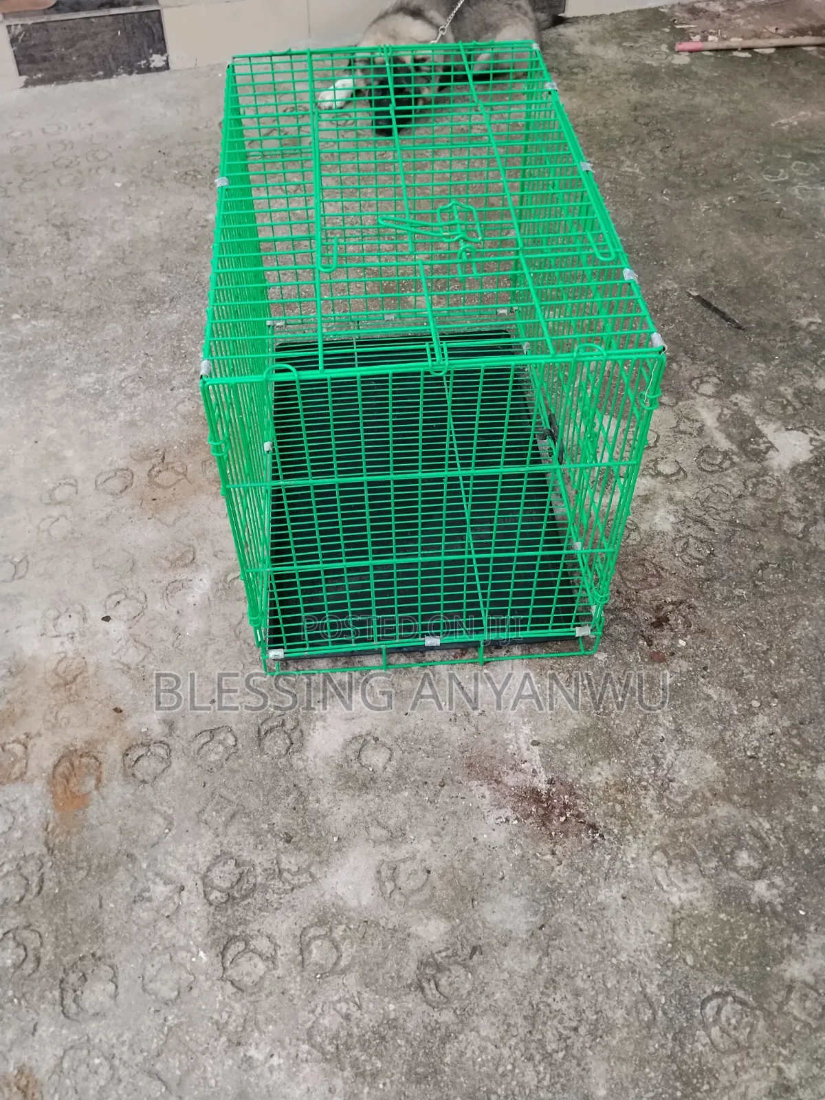 Dog Cage for Puppies