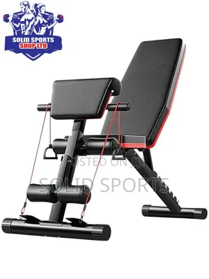 Adjustable Weight Bench With Preacher in Stock, Ready to Ship