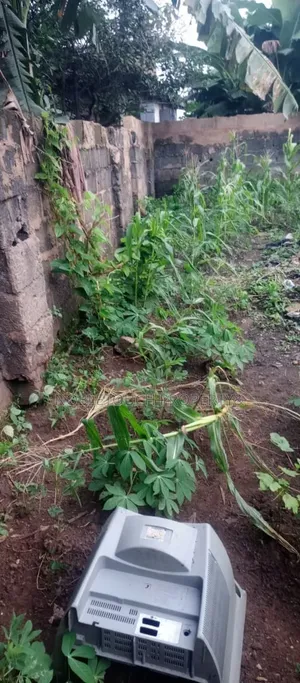 8bdrm Bungalow in Ifo Ogun State for sale
