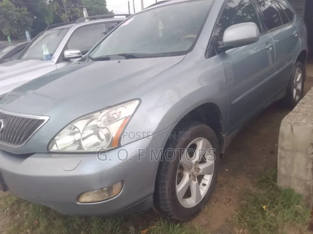 Lexus RX 330 2005 Gray
