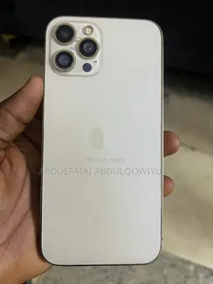 Apple iPhone 12 Pro Max 128 GB