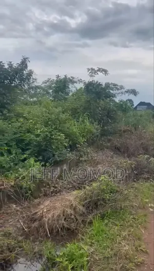 Sharp Land at Obazuwa