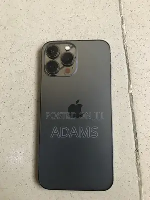 Apple iPhone 13 Pro Max 512 GB Gray