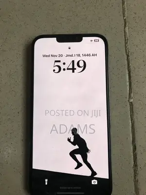 Apple iPhone 13 Pro Max 512 GB Gray