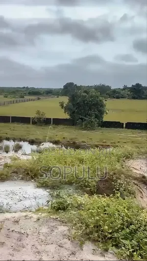 Coastal Property