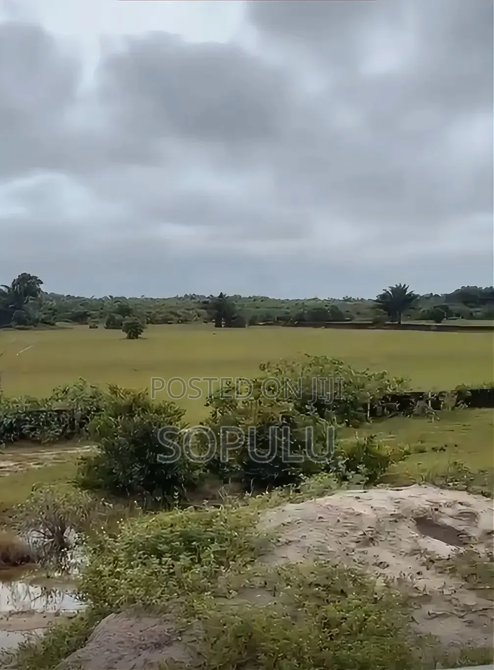 Coastal Property
