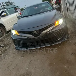 Toyota Camry LE (2.5L 4cyl 8A) 2019 Gray