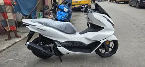New Super Gallant 2026 White
