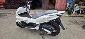 New Super Gallant 2026 White