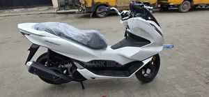 New Super Gallant 2026 White