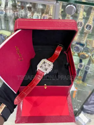 Cartier Santos Skeleton Face Stud Case Genuine Leather Watch