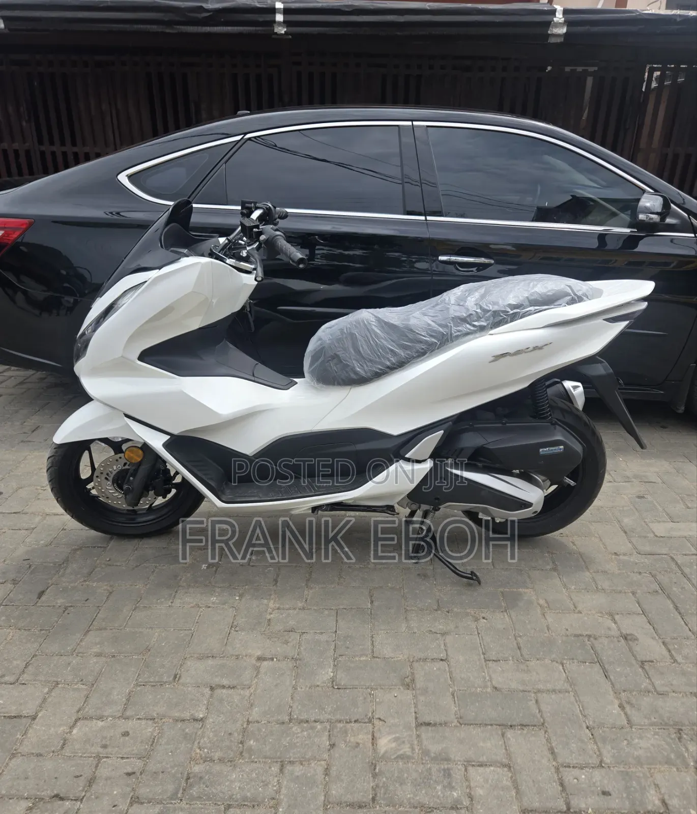 New Super Gallant 2026 White