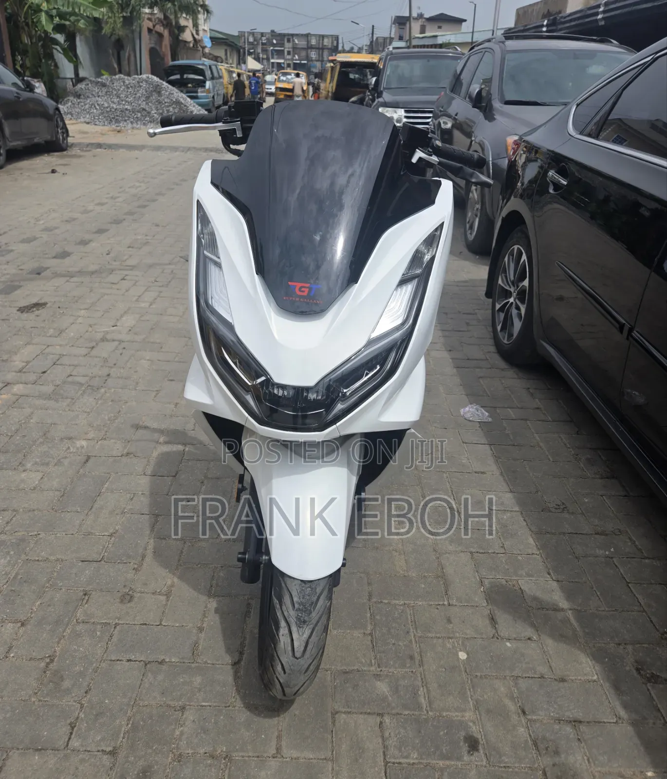 New Super Gallant 2026 White