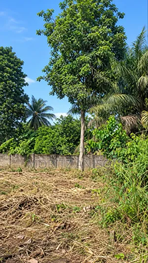 700sqm of Land for Sale