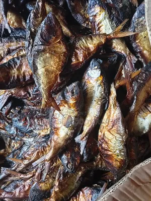 Premium Authentic Bonga Fish 100%jumbo
