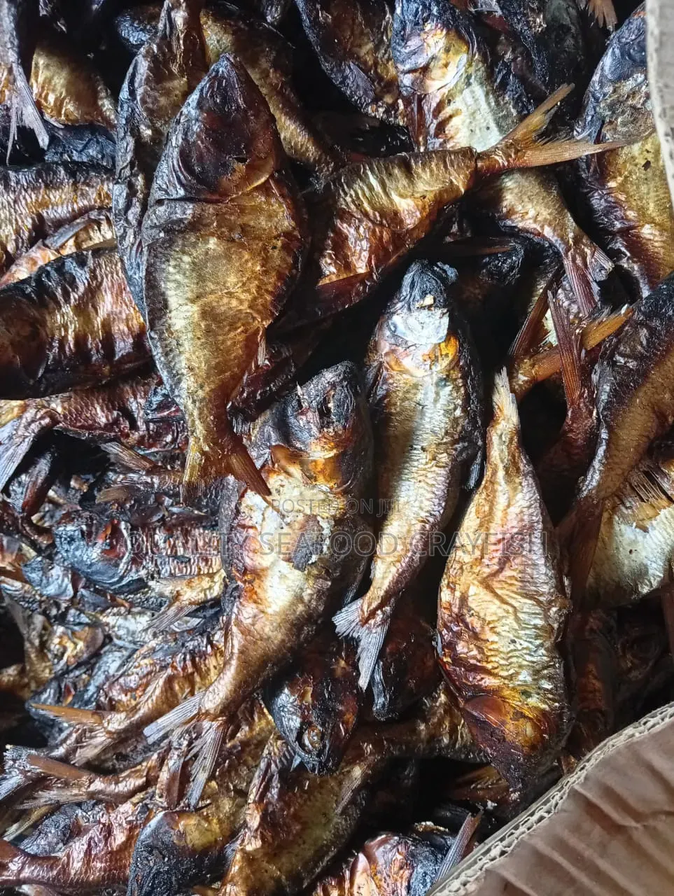 Premium Authentic Bonga Fish 100%jumbo