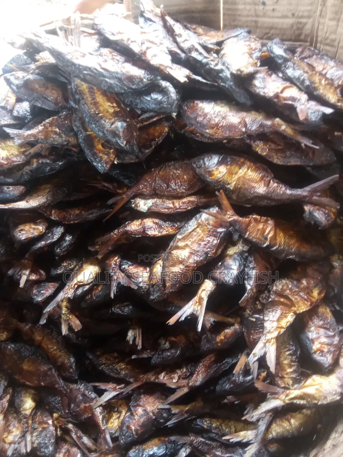 Premium Authentic Bonga Fish 100%jumbo