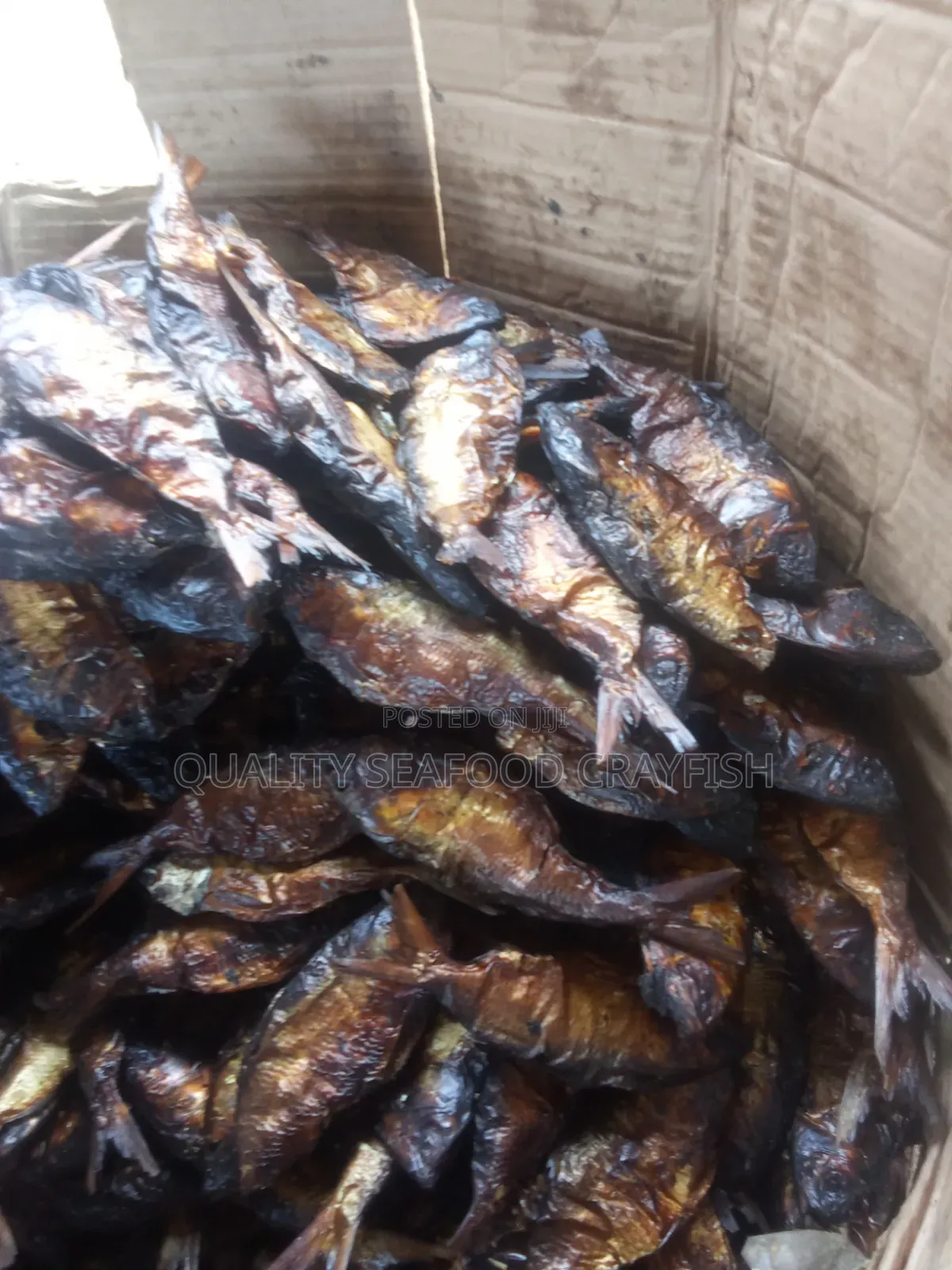 Premium Authentic Bonga Fish 100%jumbo