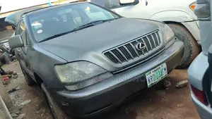 Lexus RX 300 4WD 2002 Gray