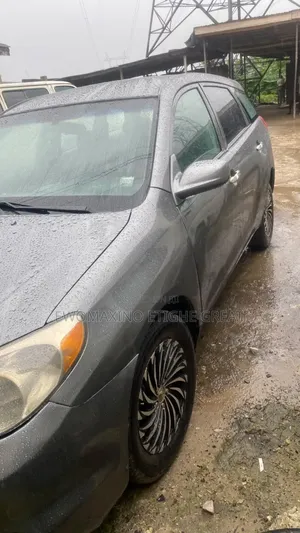 Toyota Matrix Hatchback AWD (1.8L 4cyl 4A) 2005 Gray