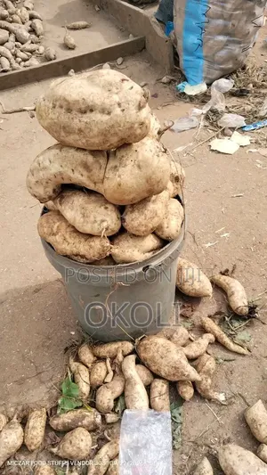 Fresh Sweet Potatoes
