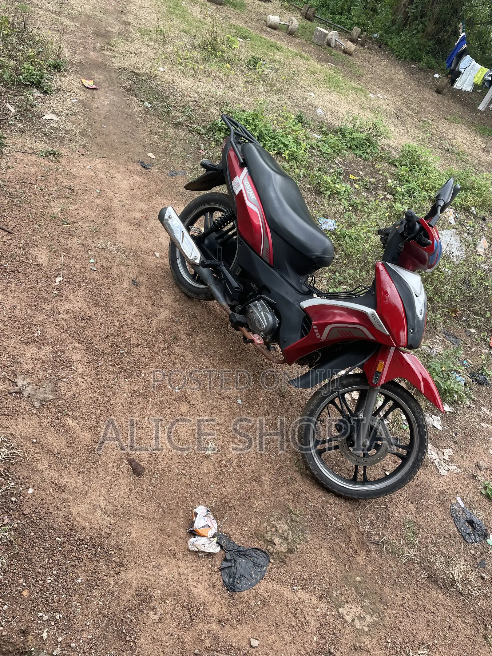 Qlink Reiz 110 2025 Red