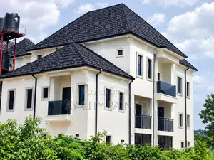 Pure White Gravitex Paint / Graffiato Paint Supply in Lagos