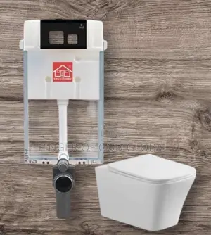 Wall Hung Smart Toilet With Concealed Cistern