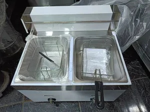 Table Gas Fryer
