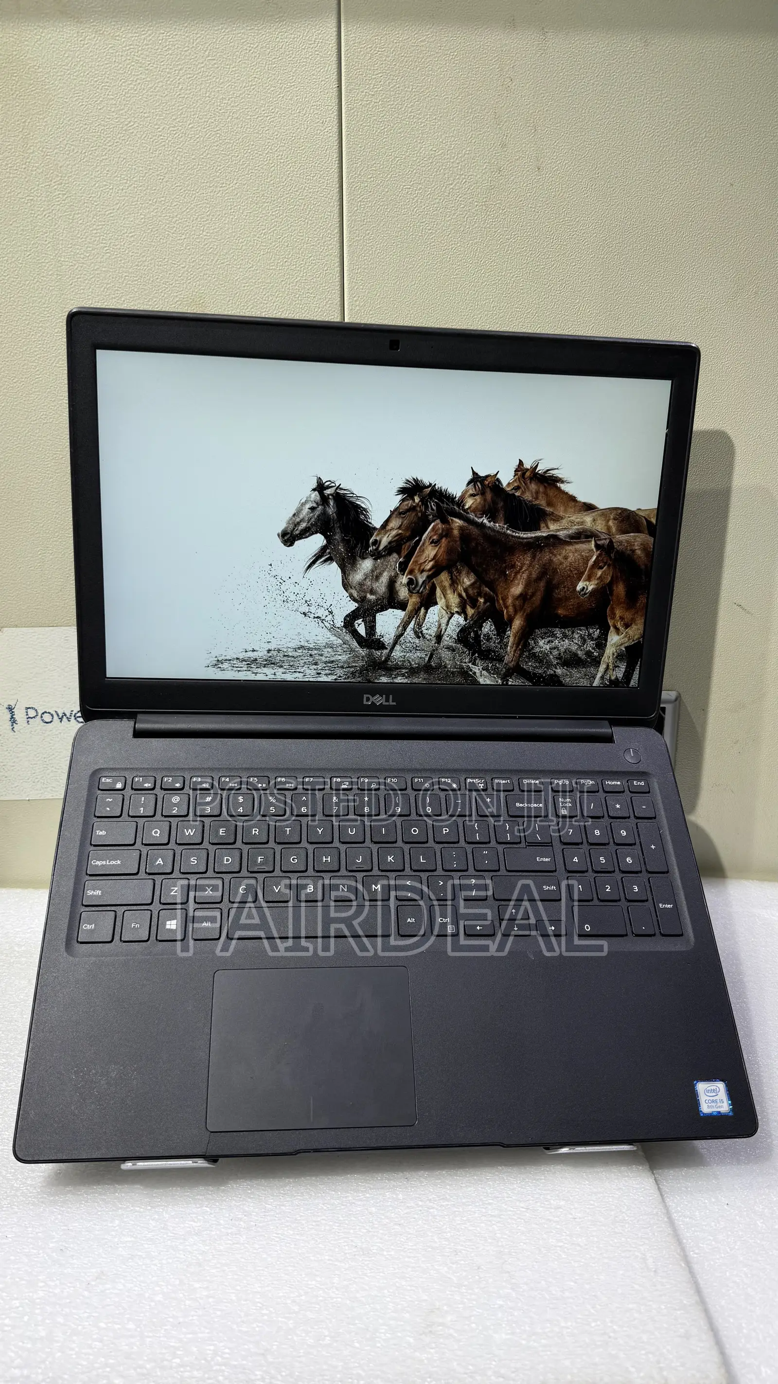 Laptop Dell Latitude 3500 8GB Intel Core i5 SSD 256GB