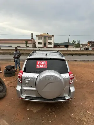 Toyota RAV4 2009 Silver