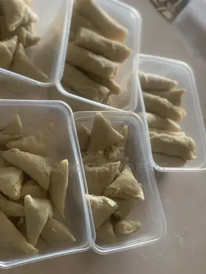 Samosa & Spring Rolls